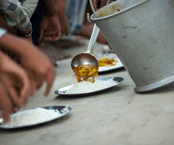 steptodown.com823134